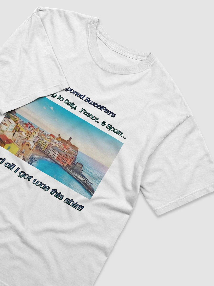 EuroTrip2026 Support Shirt product image (8)