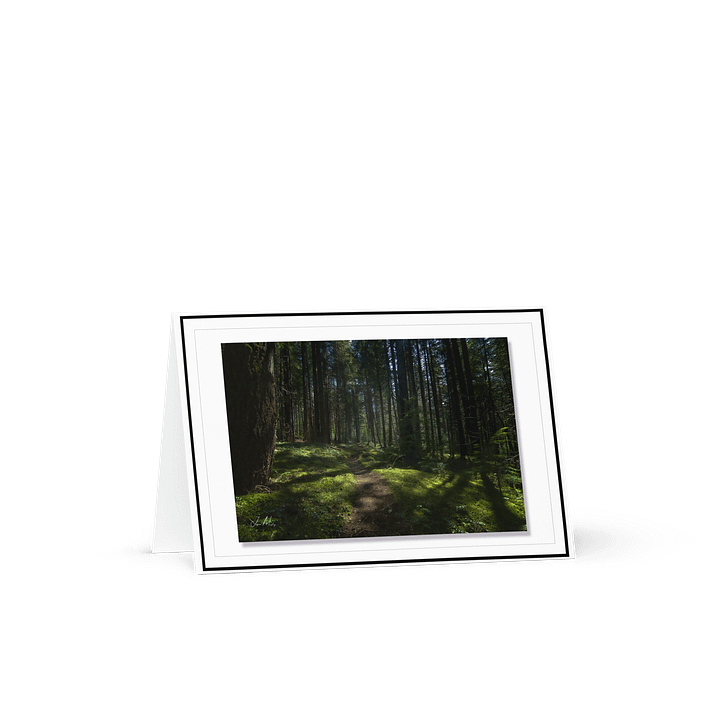 Lower Dungeness Trail Timber sun lighting Greeting Card product image (1)