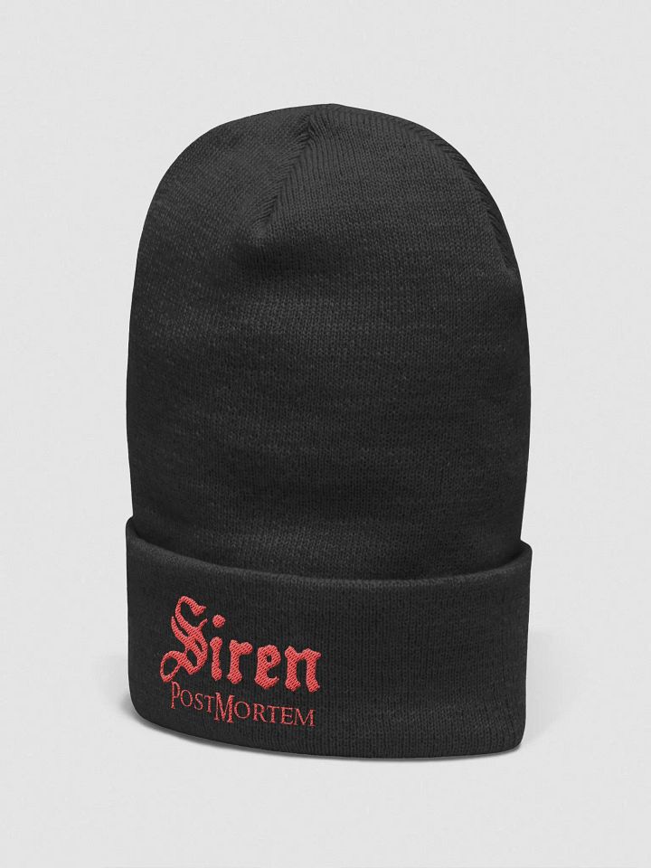 SirenPM: Logo Beanie product image (2)