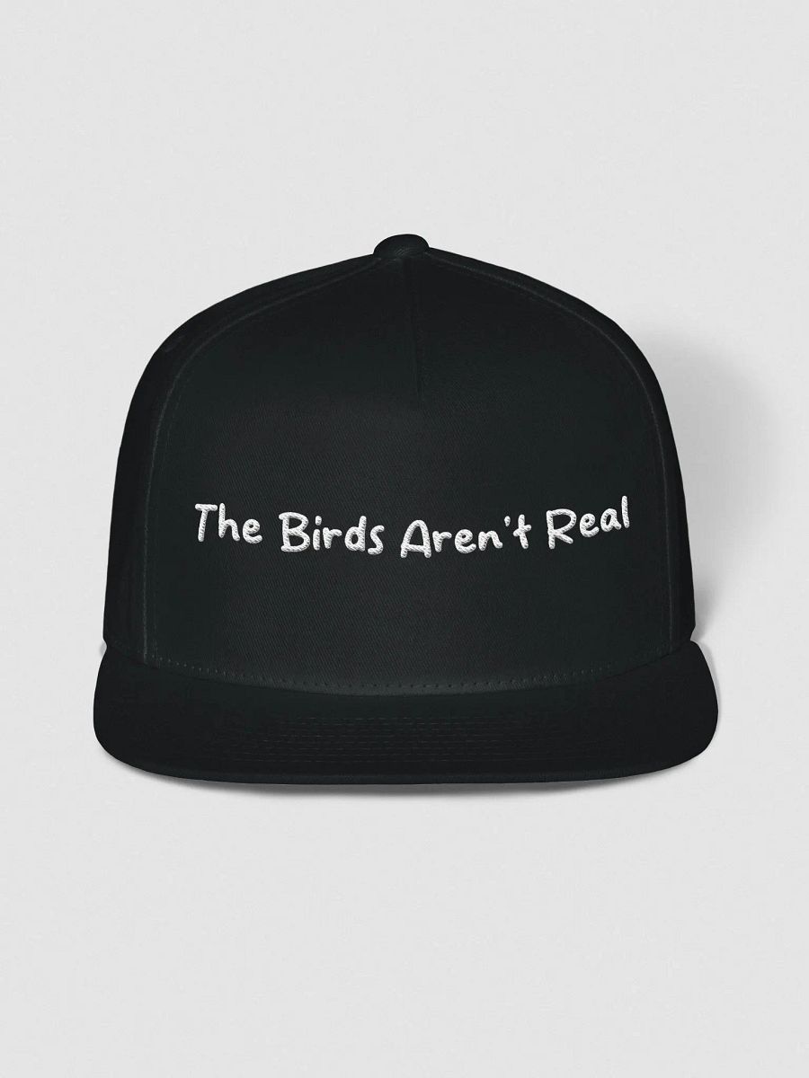 Government Spies Snapback product image (1)