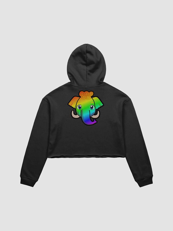 Mammoth Pride Crop Hoodie product image (6)