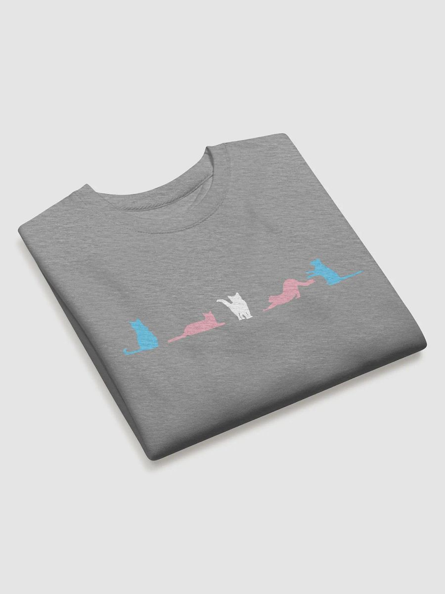 Transgender Pride Cats Long Sleeve product image (18)
