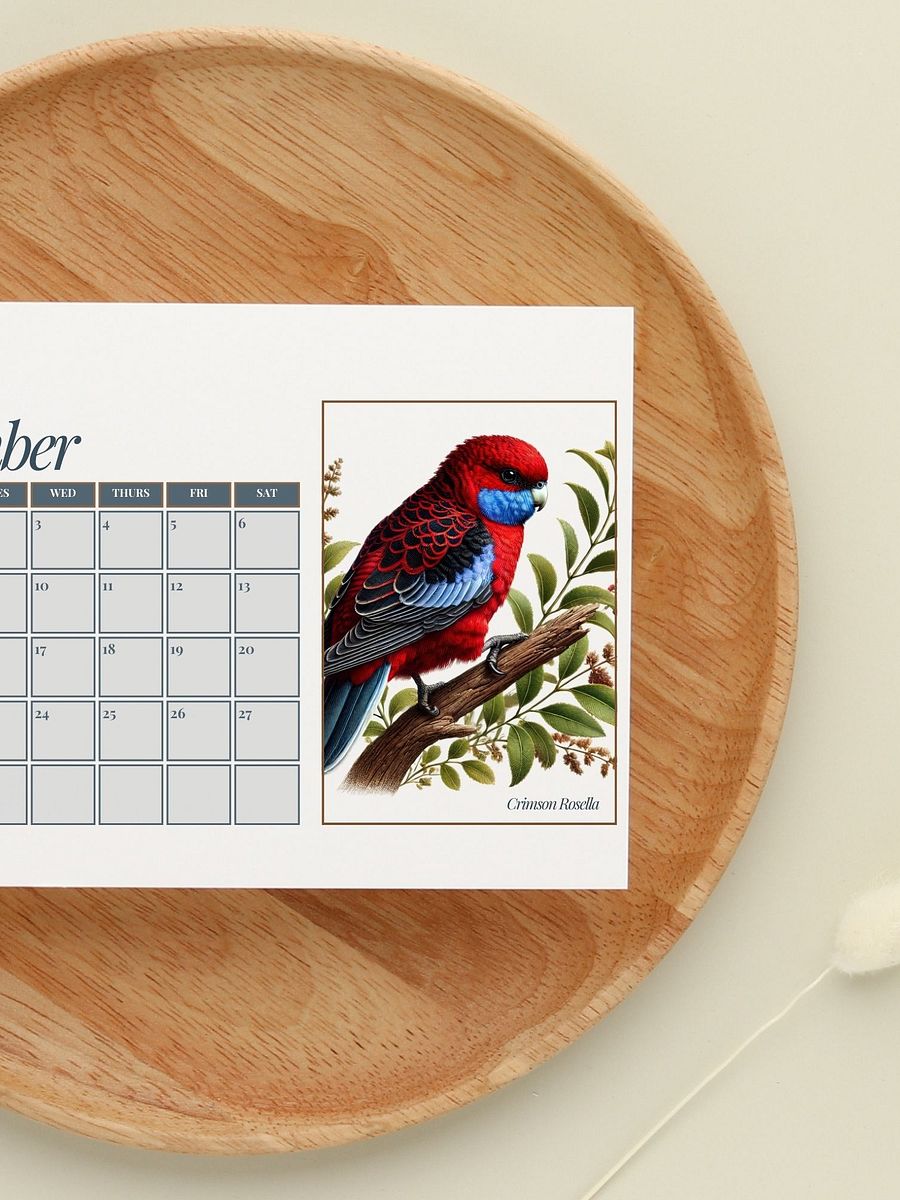 2025 Watercolor Birds Monthly Calendar – Elegant Bird Art for Nature Lovers product image (9)