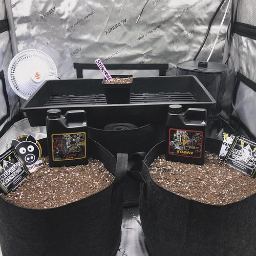 new @acinfinityinc 3x3 tent all set up with some genetics from @_mephistogenetics shout out to @cronknutrients for supplying ...