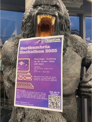 Our hackathon will be so Bonita! 🎀✨ Head over to our website to get more information!! #hackathon #programming #dreamcode #programmer #bonita #kingkong #northumbria #university #event 