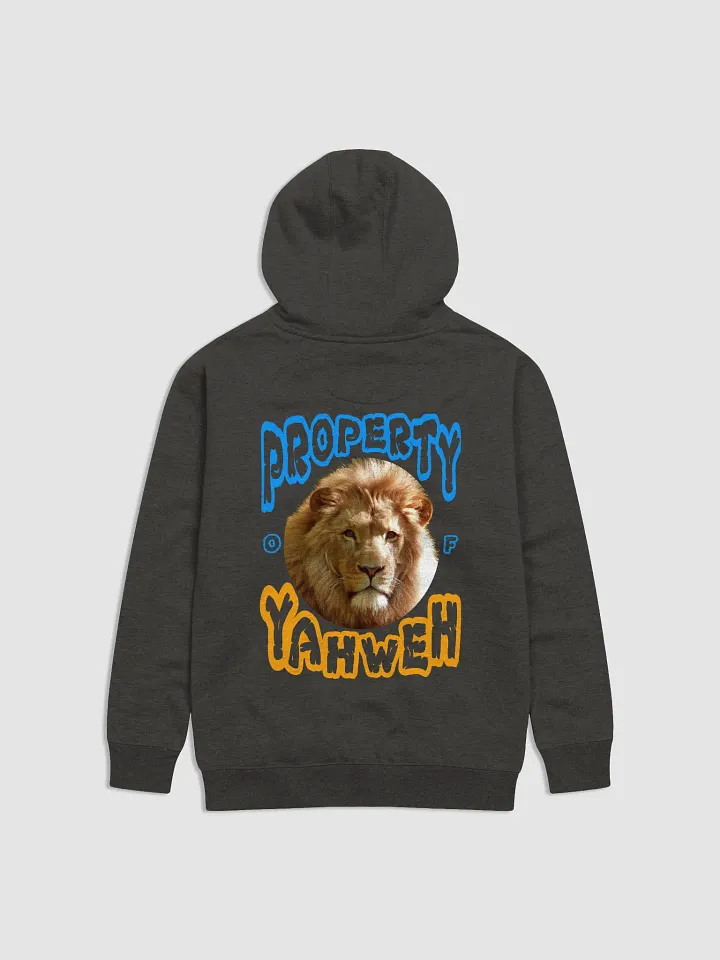 Child of God Unisex Hoodie product image (9)