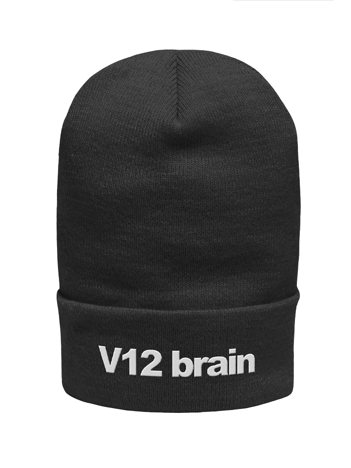 V12 Beanie product image (1)