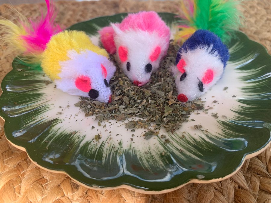 Whinny’s Favorite Kitty Cat Mice Toys and Catnip product image (4)