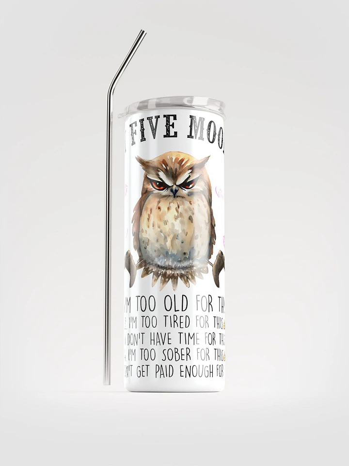 Whimsical Owl Stainless Steel Tumbler product image (1)