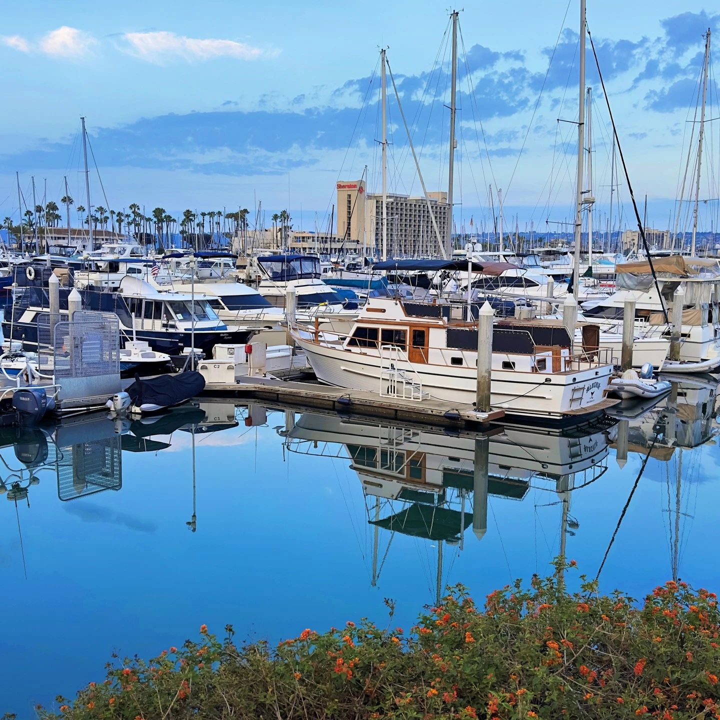 The view from the beautiful marina at the @sheratonsd on another glorious San Diego morning! @visitsandiego