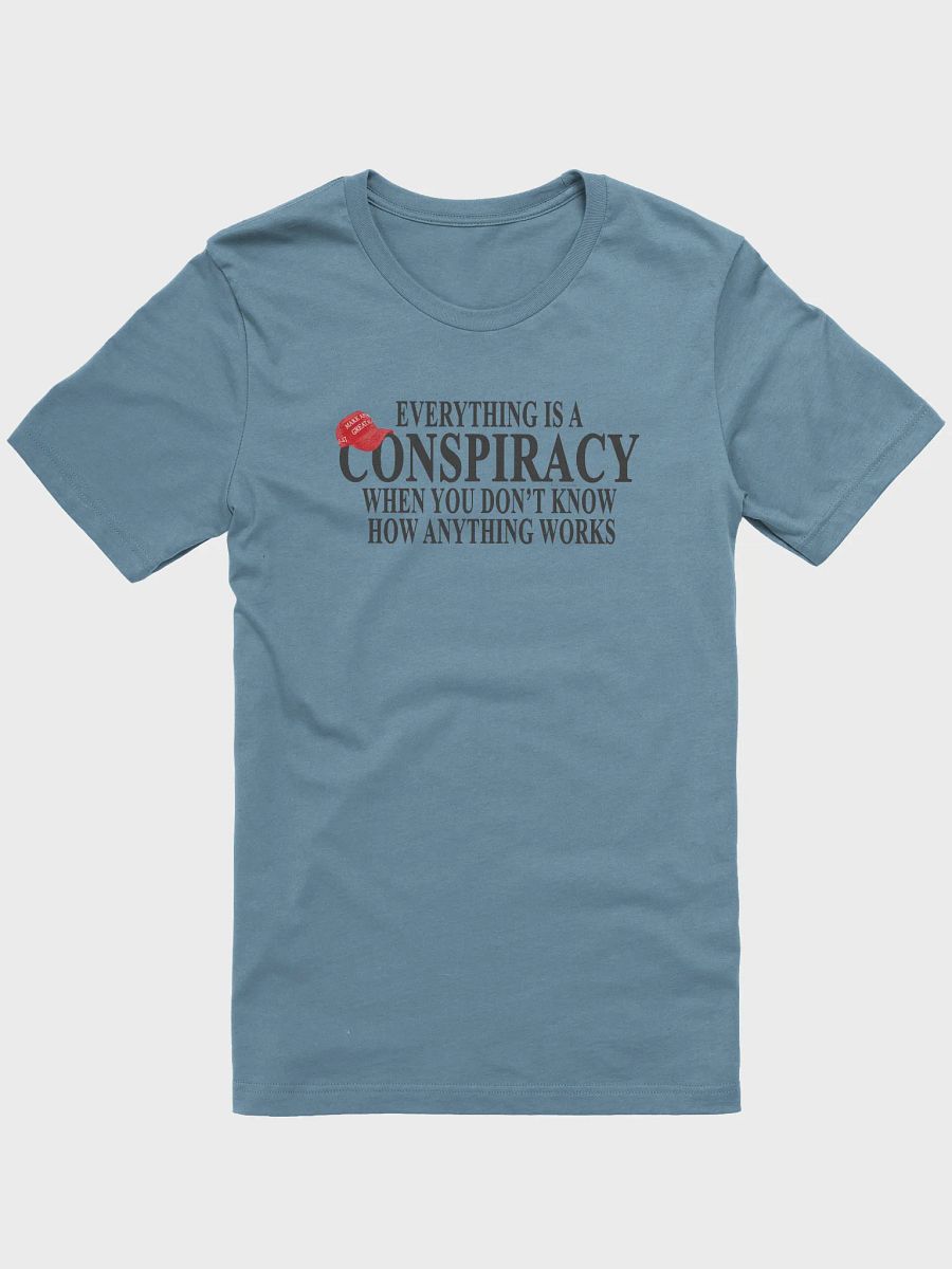 Everything is a Conspiracy T-Shirt - Being Liberal product image (28)