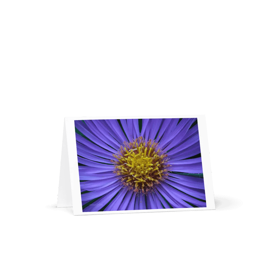 Aster-Licious Greeting Card product image (3)