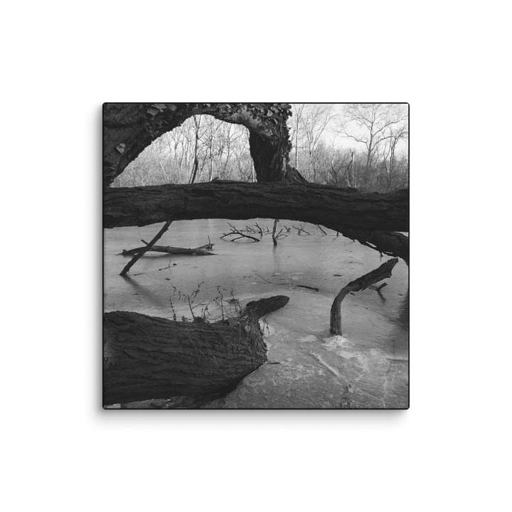 Undercurrent product image (1)