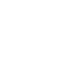 V1ruzPlayz