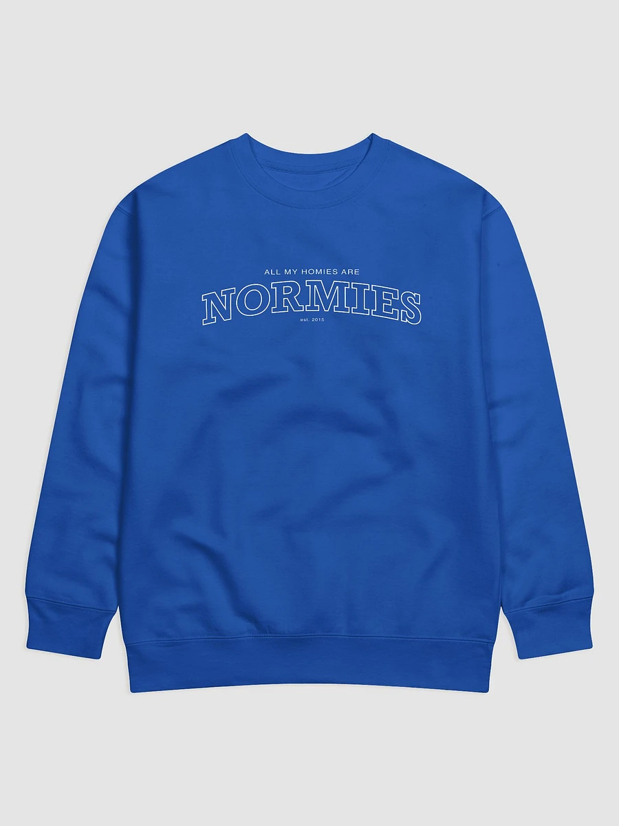 All of My Homies are Normies - Sweatshirt product image (1)