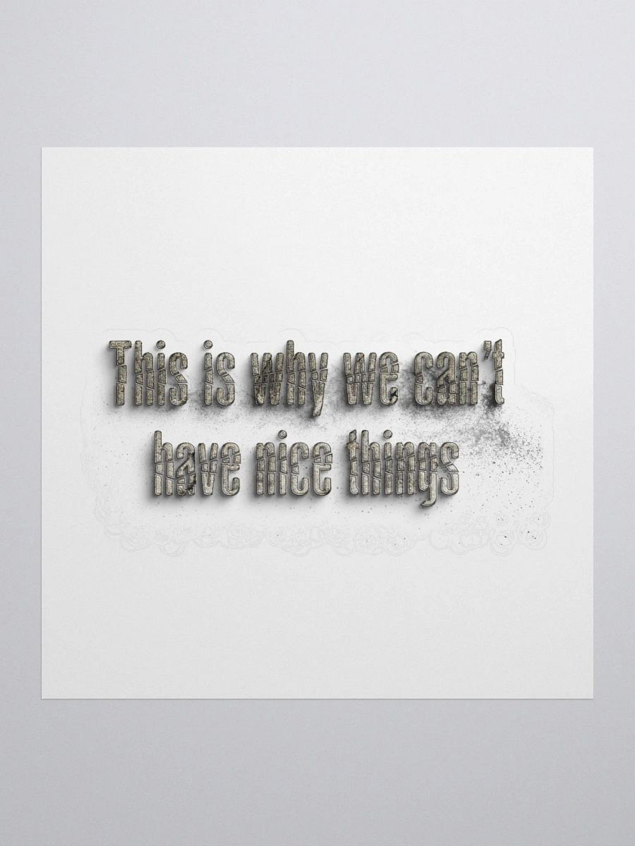 THIS IS WHY WE CAN'T HAVE NICE THINGS product image (1)