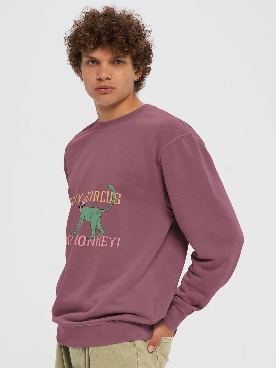 Not My Circus Unisex Sweatshirt product image (8)