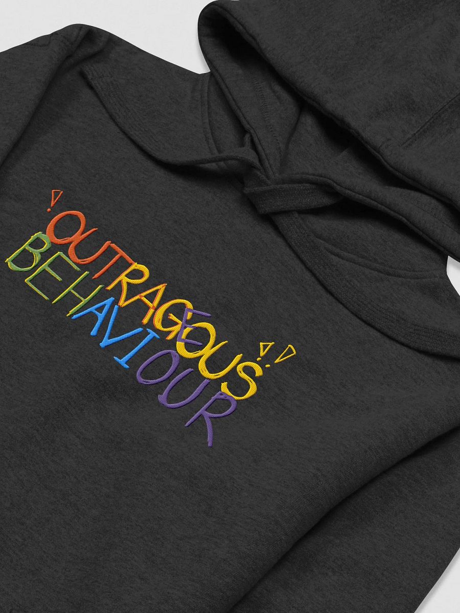 OUTRAGEOUS BEHAVIOUR!!!! - Unisex Embroidered Hoodie product image (35)