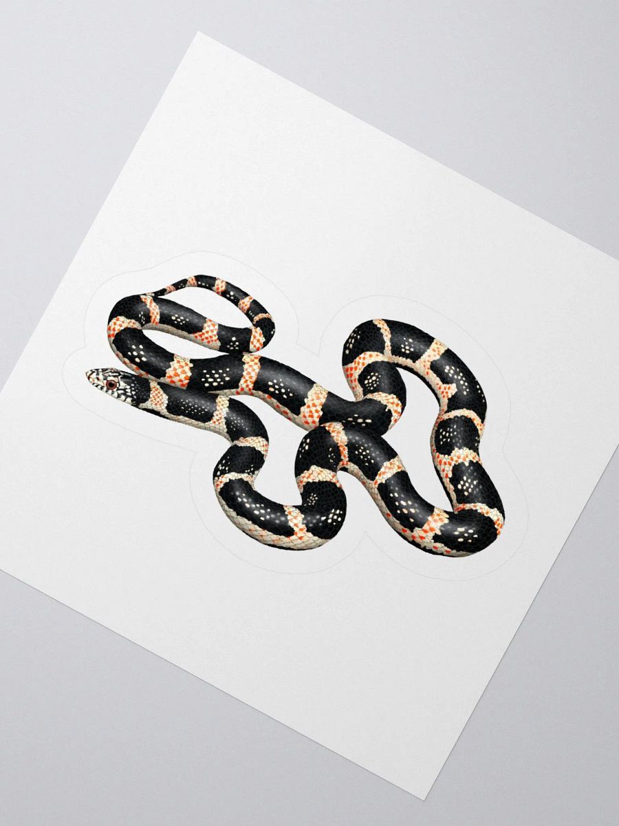 Die-Cut Sticker – Longnosed Snake product image (2)