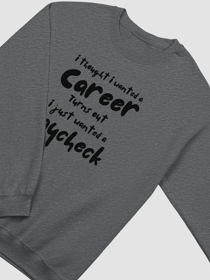 Career VS Paycheck product image (19)