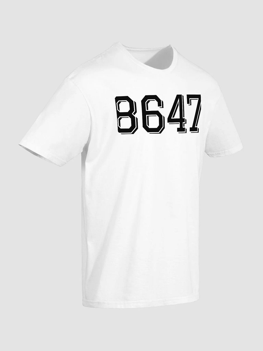 8647 Shirt product image (3)