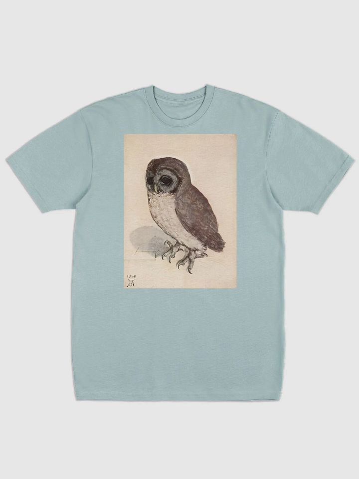 Albrecht Durer The Little Owl Men's Graphic Tee product image (1)