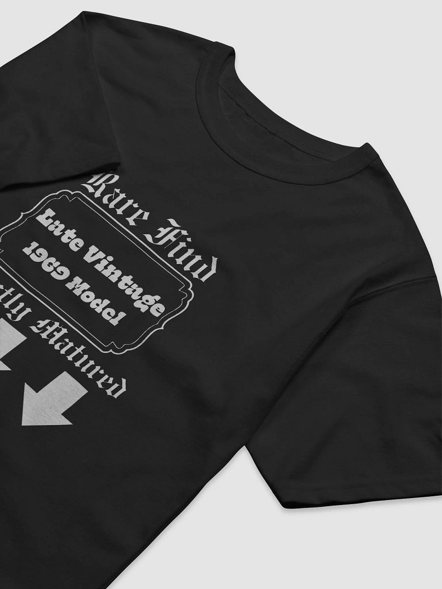 Vintage 1969 Champion Relaxed-Fit Tee product image (3)