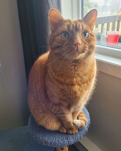Look at this handsome lil gentleman 🥰 So photogenic 💁‍♂️