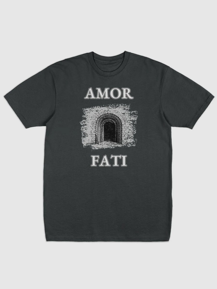 AMOR FATI Tee product image (31)