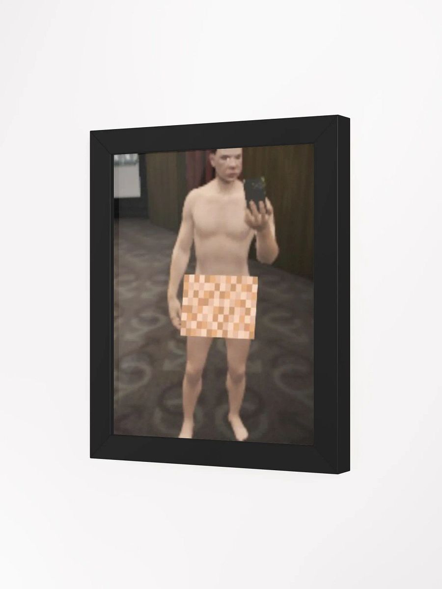 Falupo Framed Picture product image (26)