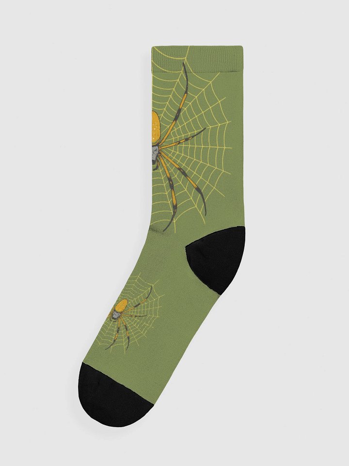 ORB WEAVER SOCKS product image (1)