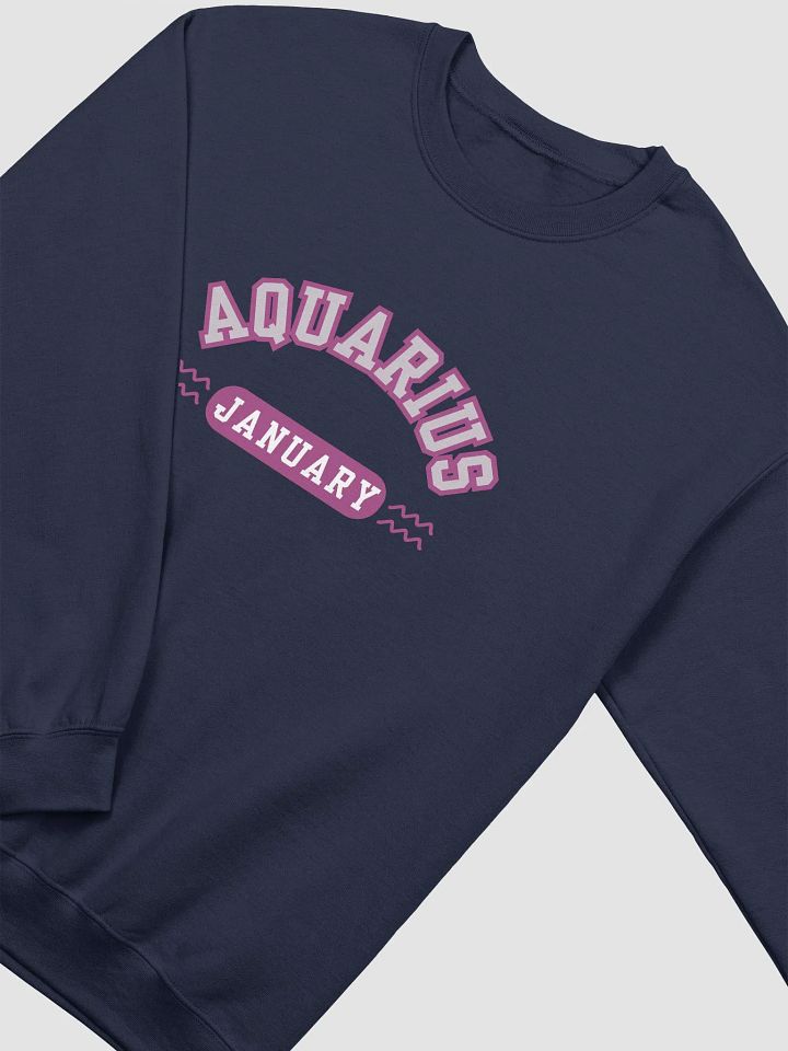 Aquarius January Zodiac Sign Sweatshirt product image (22)