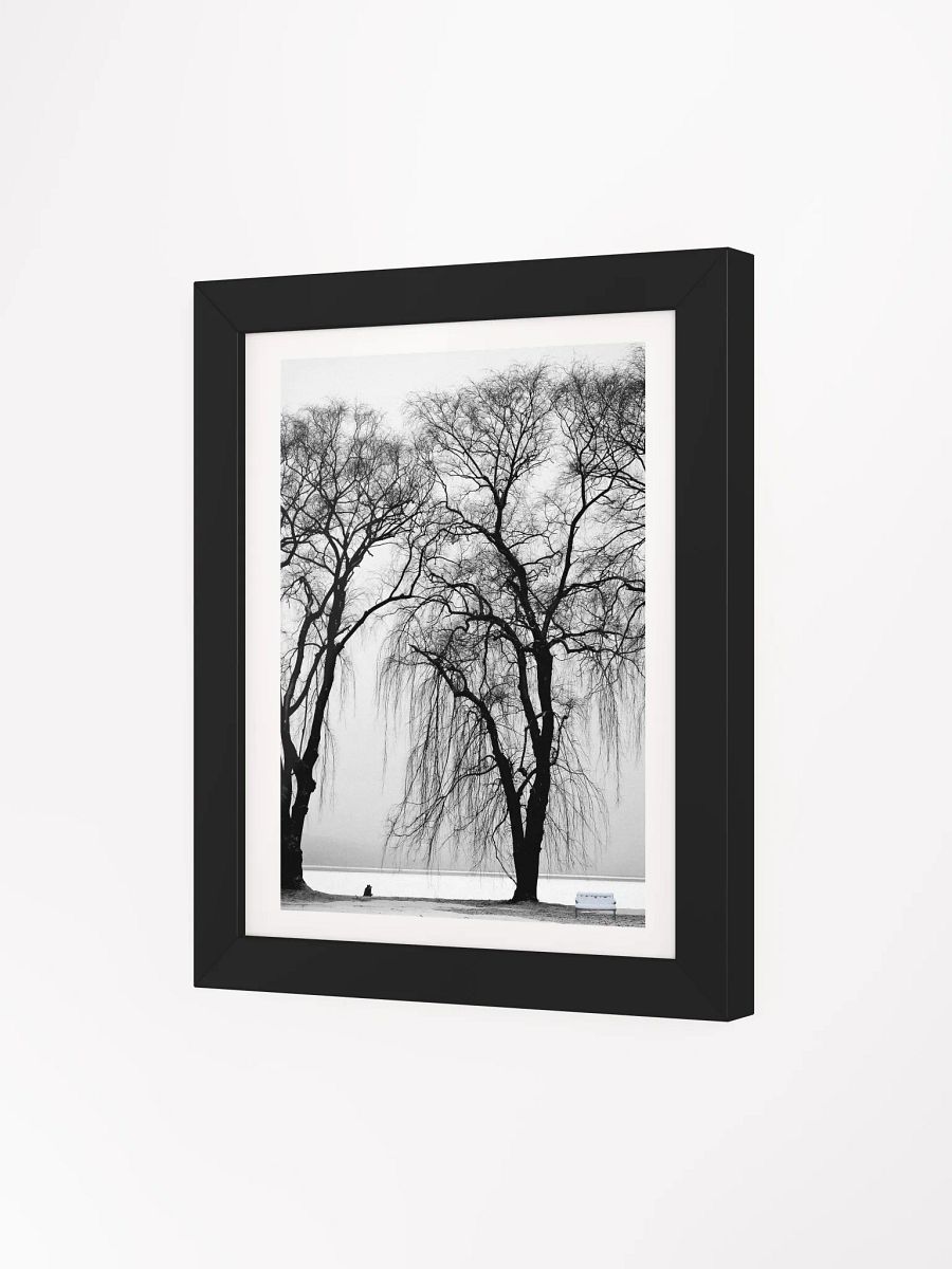 SOLACE IN THE MIST product image (52)