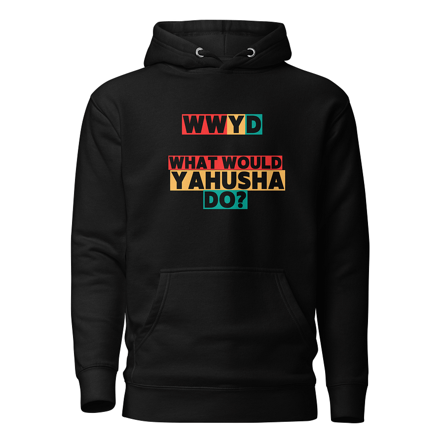 What Would YAHUSHA Do? WWYD Sweater Collection product image (1)