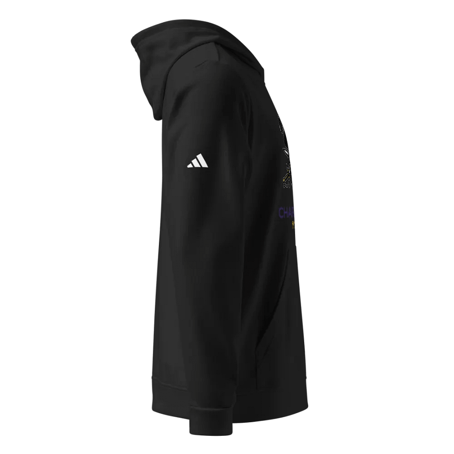 Charleston Pirates Adidas Hoodie product image (7)