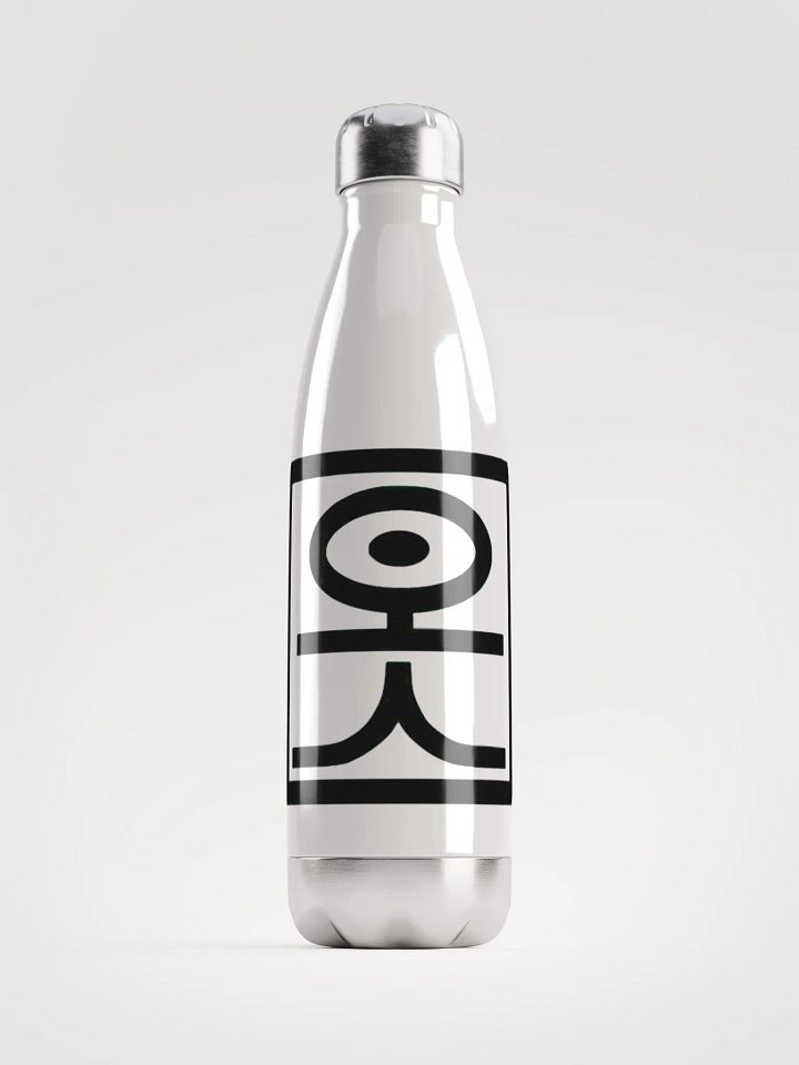 Stainless steel water bottle product image (1)