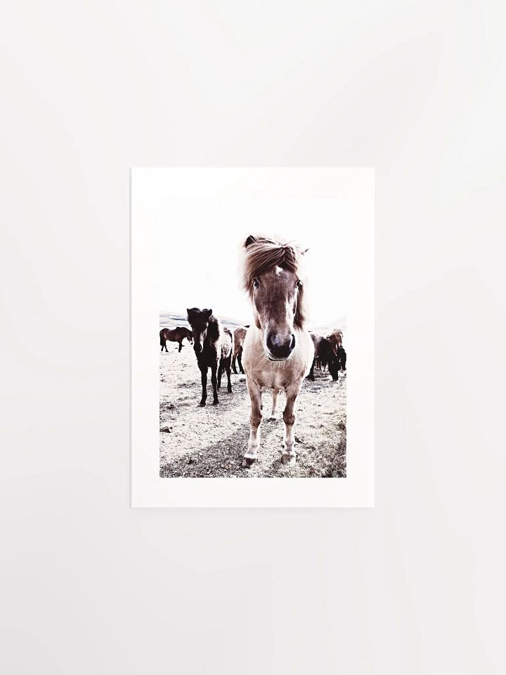 Iceland Horses Passepartout Print product image (5)