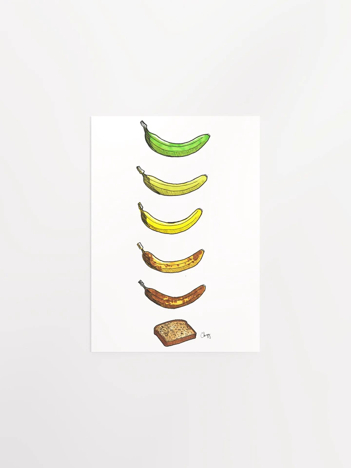 Life Cycle Of A Banana product image (1)