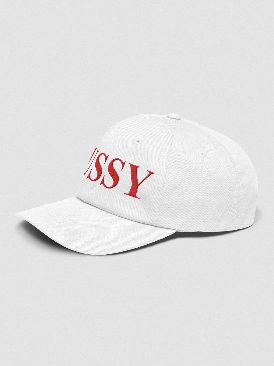 BUSSY Hat product image (3)