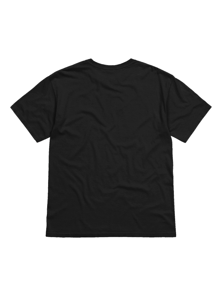 Eagles - Heavyweight T-shirt product image (9)