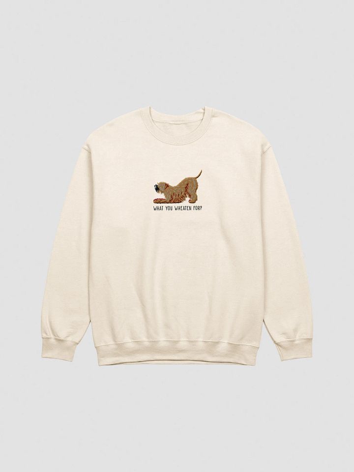 What You Wheaten For? Sweatshirt (Embroidered) of a Wheaten Terrier(2) product image (13)