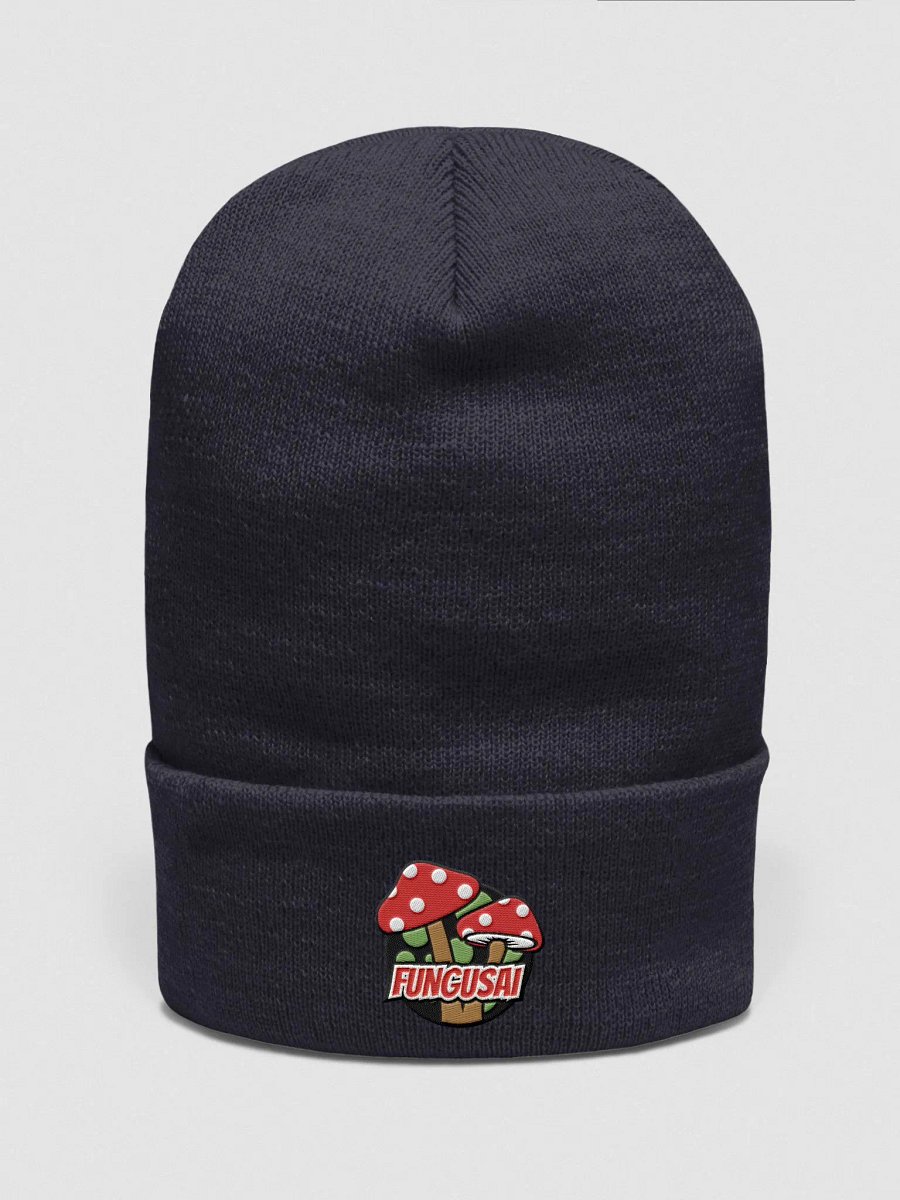 Beanie product image (3)