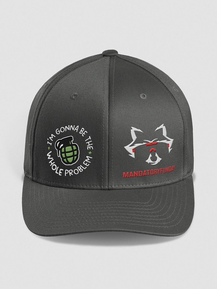The Whole Problem Flexfit Hat product image (5)