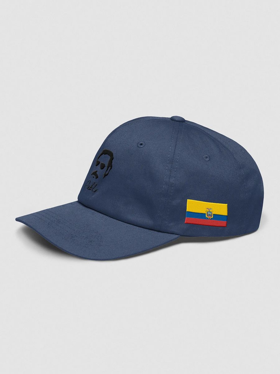 Pablo's Stylized Dad Hat product image (14)