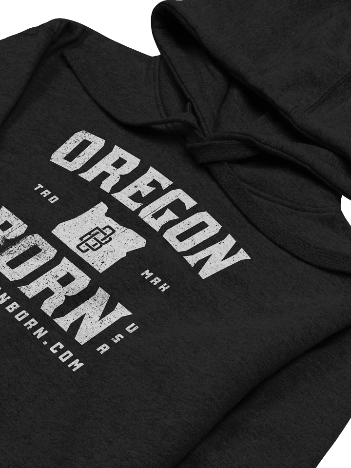 Oregon Born Vintage Collegiate - Hoodie product image (2)
