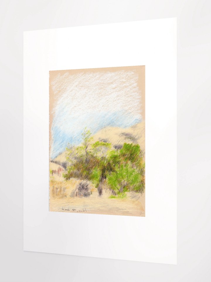 Leo Carillo State Park, CA #1 09.08.86 print product image (2)