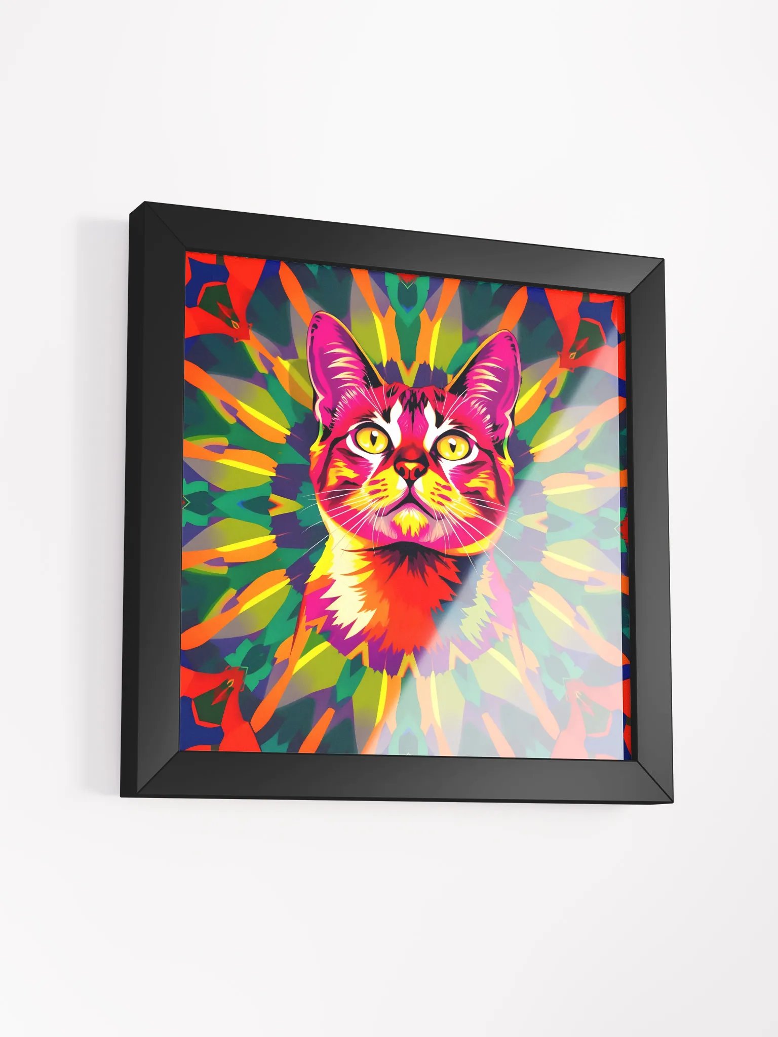 Cat product image (34)