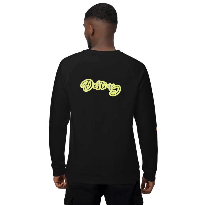 Destiny: Sweater product image (1)