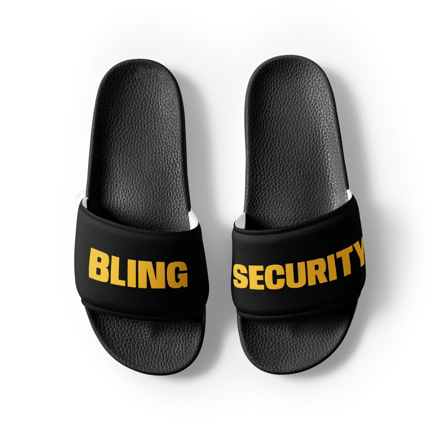 Security Slides product image (6)