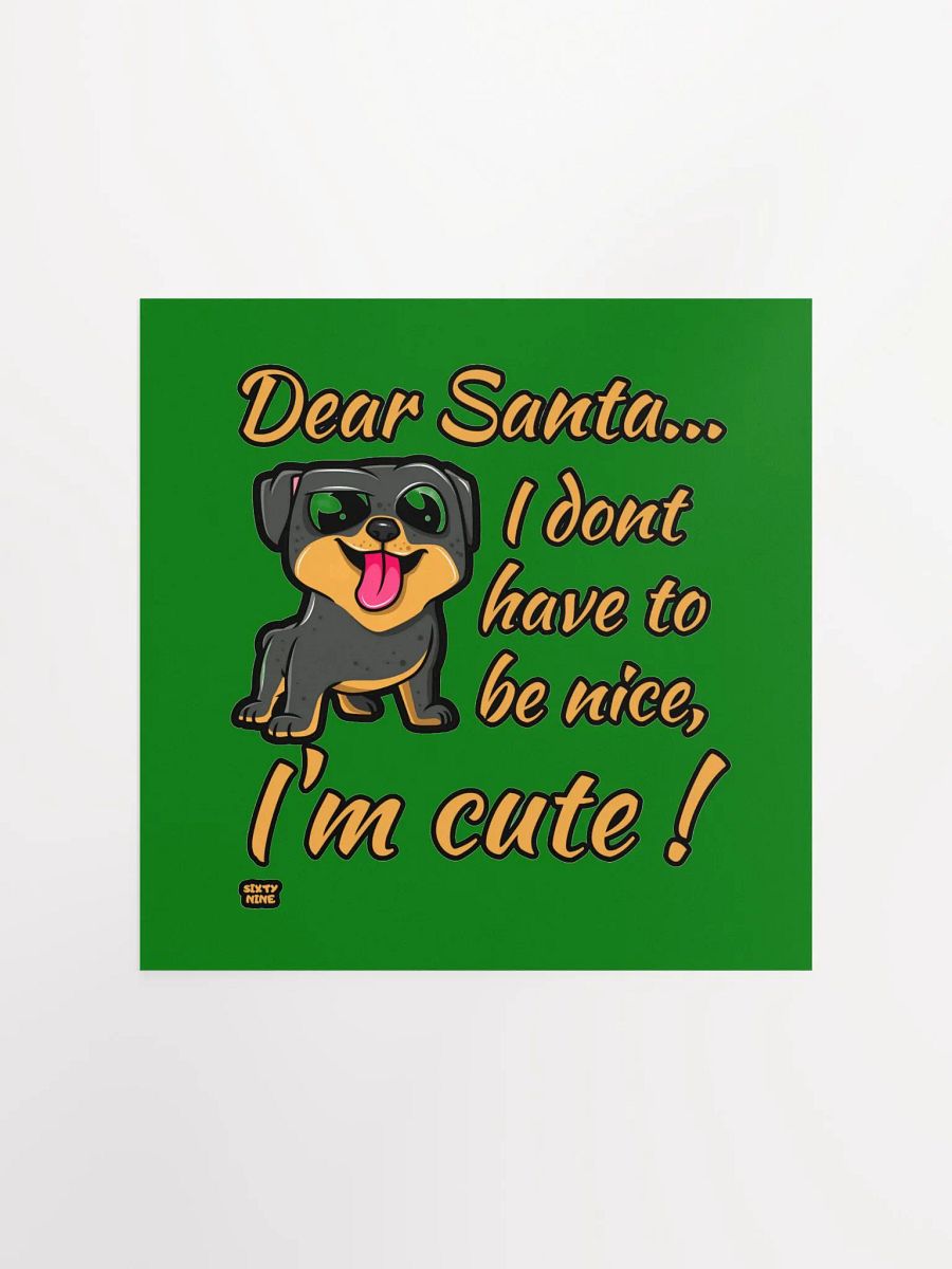 DEAR SANTA, I DON'T HAVE TO BE NICE, I'M CUTE! product image (4)
